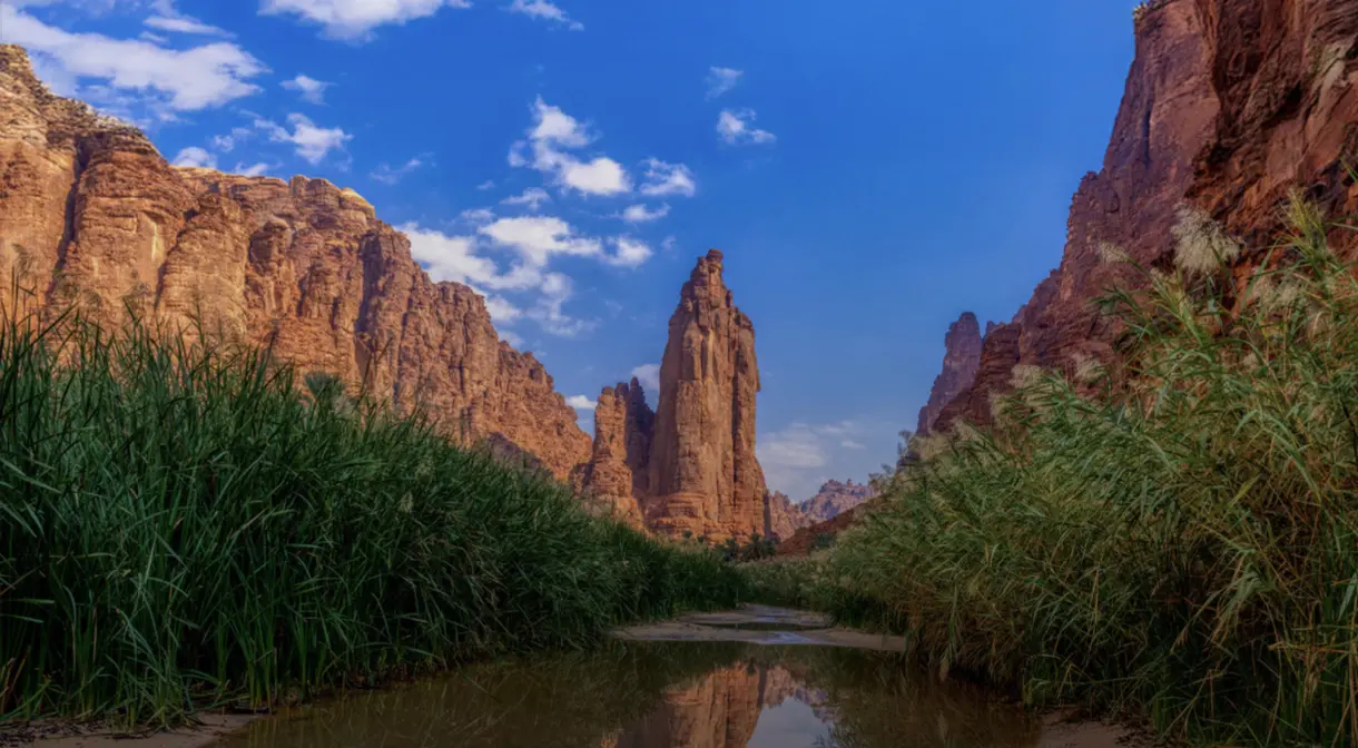 التقارير السنوية